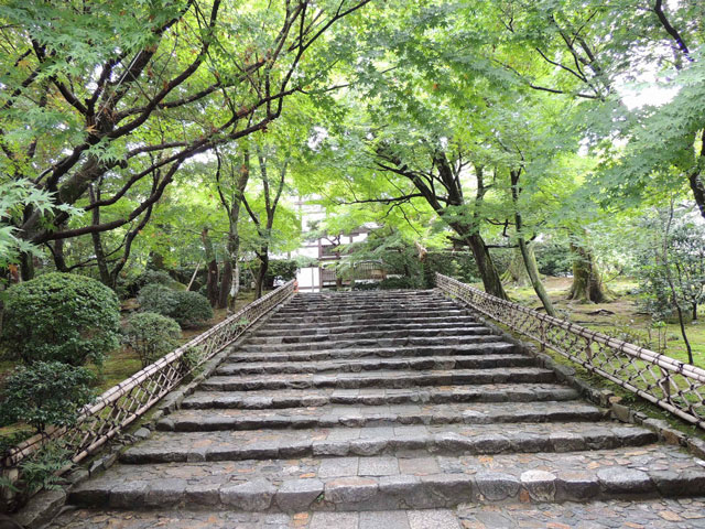 神社に向かう石階段の写真